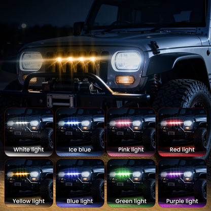 description_selected3